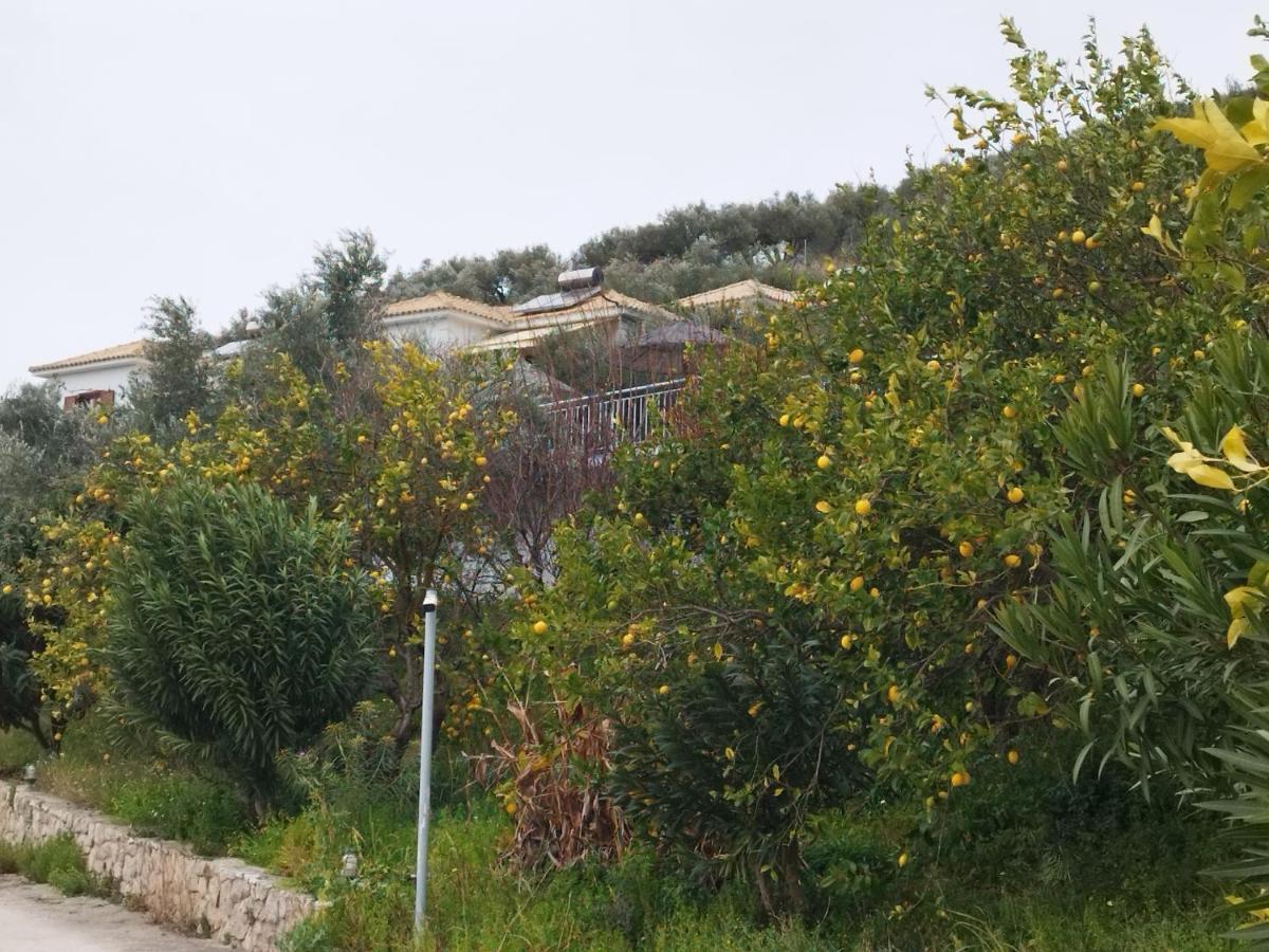 Tatil Evi Mary's Panorama Gialova